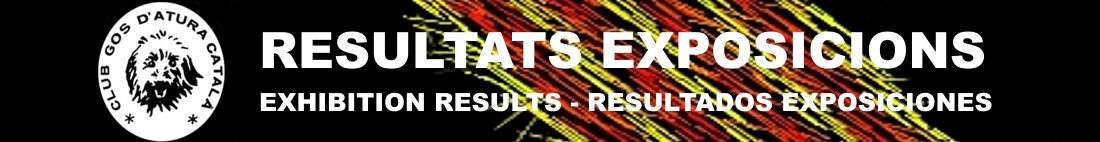 Club del Gos d'Atura Català